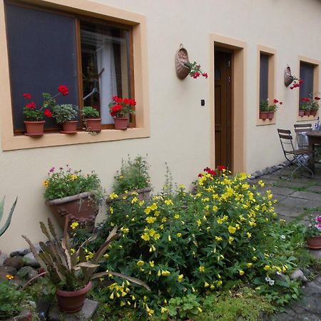 Casa Lia Hotell Sighişoara Exteriör bild