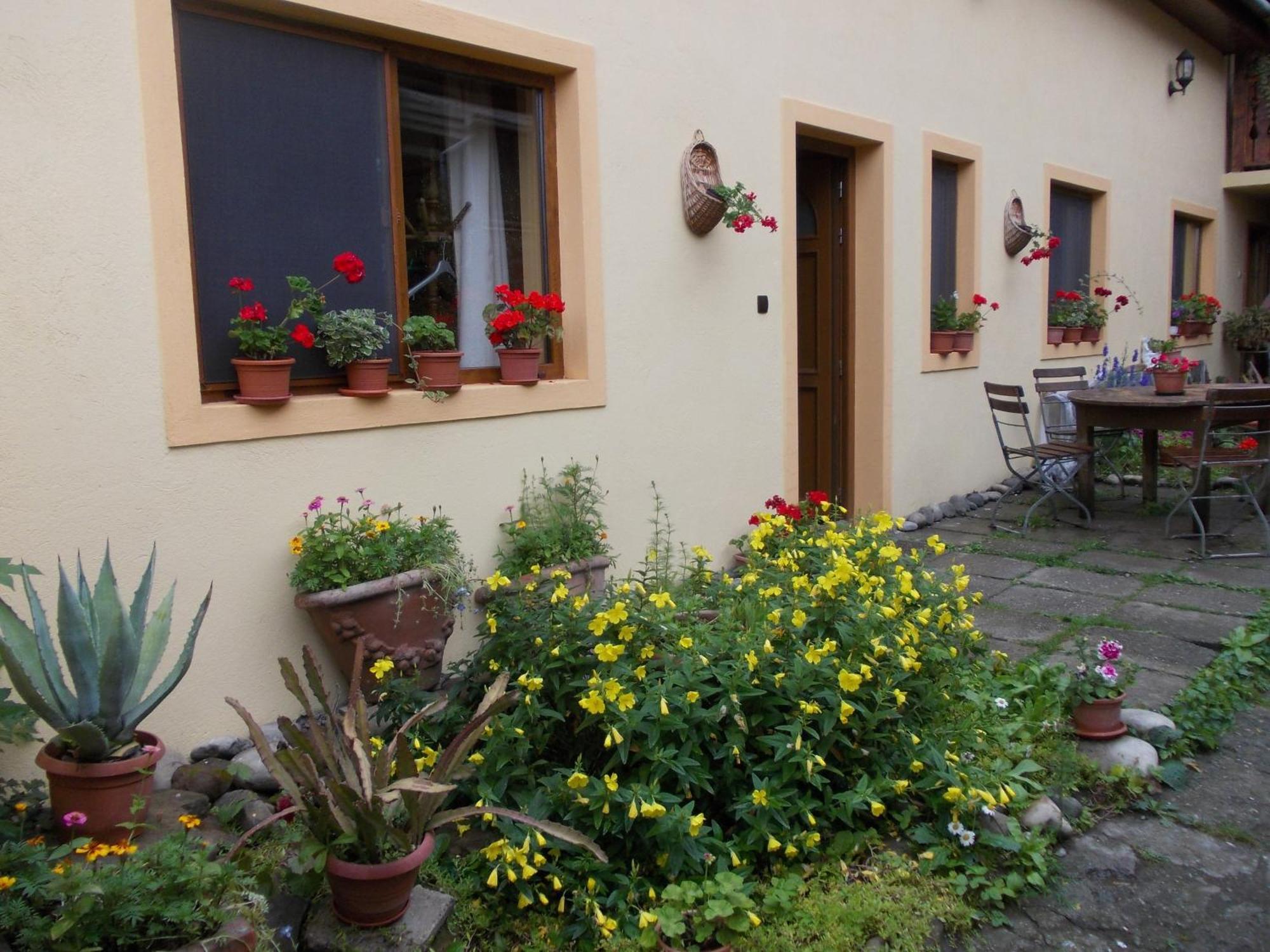 Casa Lia Hotell Sighişoara Exteriör bild